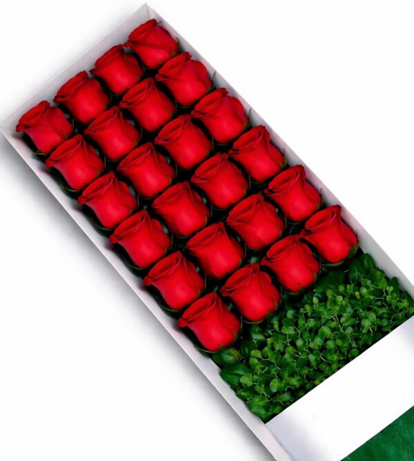 24 rosas caja irania floristeria