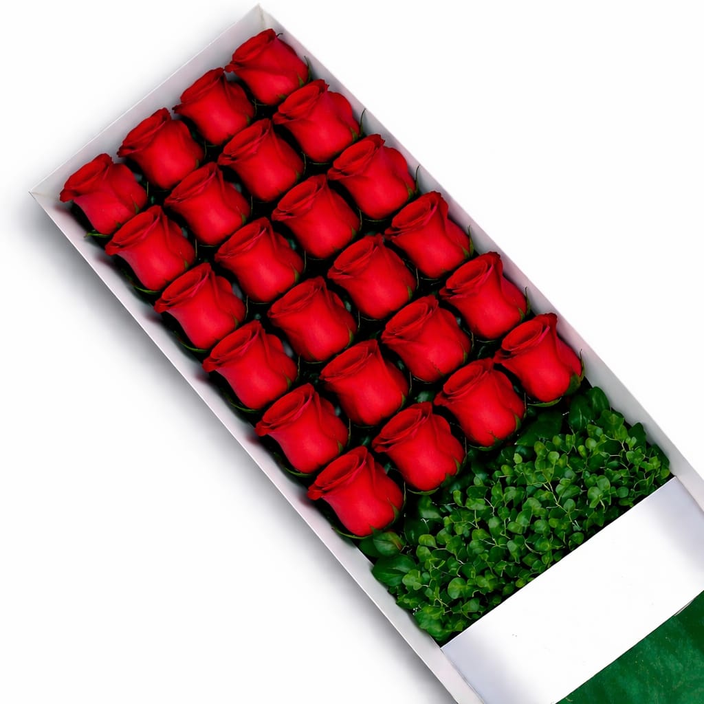 24 rosas caja irania floristeria