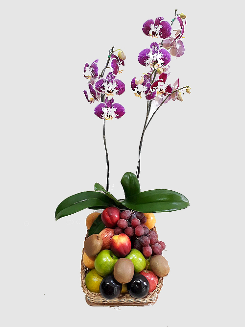 planta orquidea con frutas en canasta, irania floristeria bogota