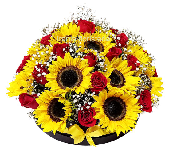 caja gigante girasoles con rosas, irania floristeria