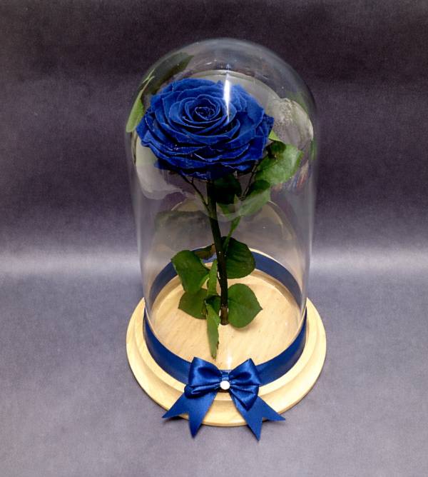 rosas preservadas irania floristeria