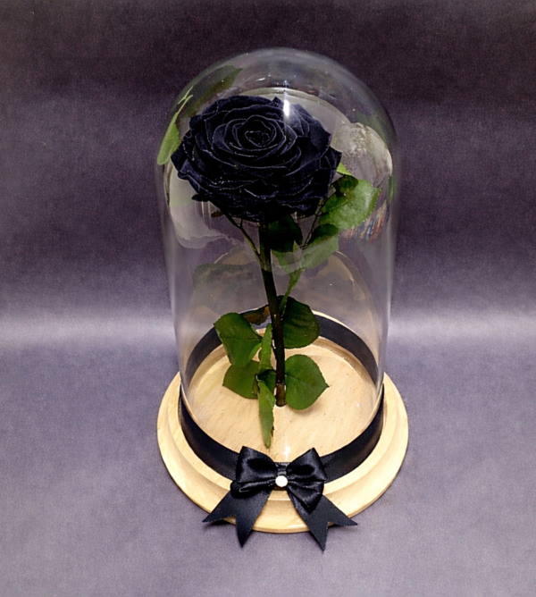 rosas preservadas irania floristeria